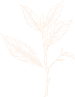 Hangzhou Baoda Tea Co., Ltd.